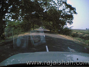 Image(025)